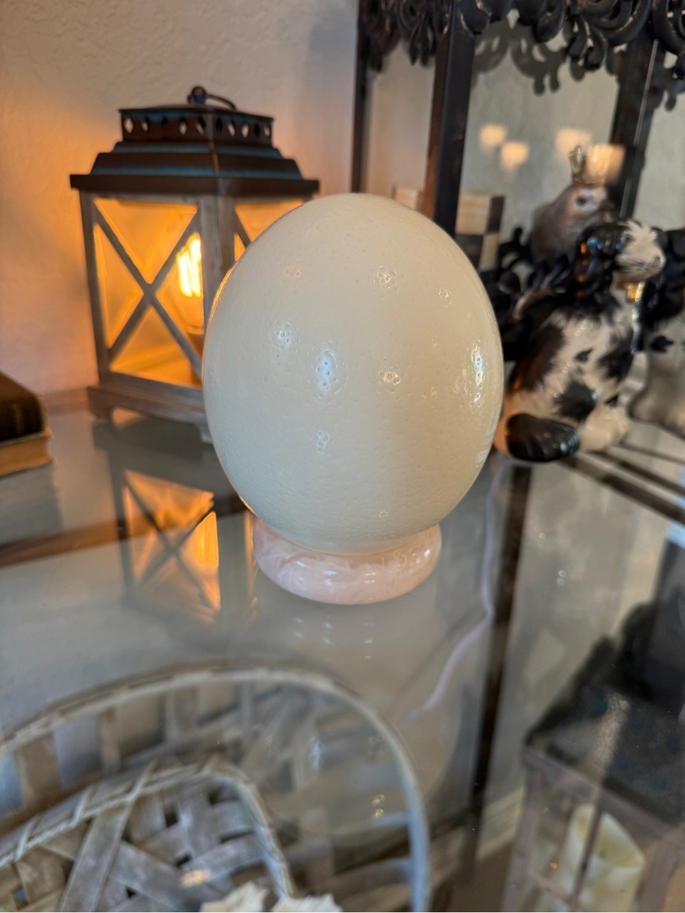 Large Real Blown Ostrich Egg - Picture 9 of 17